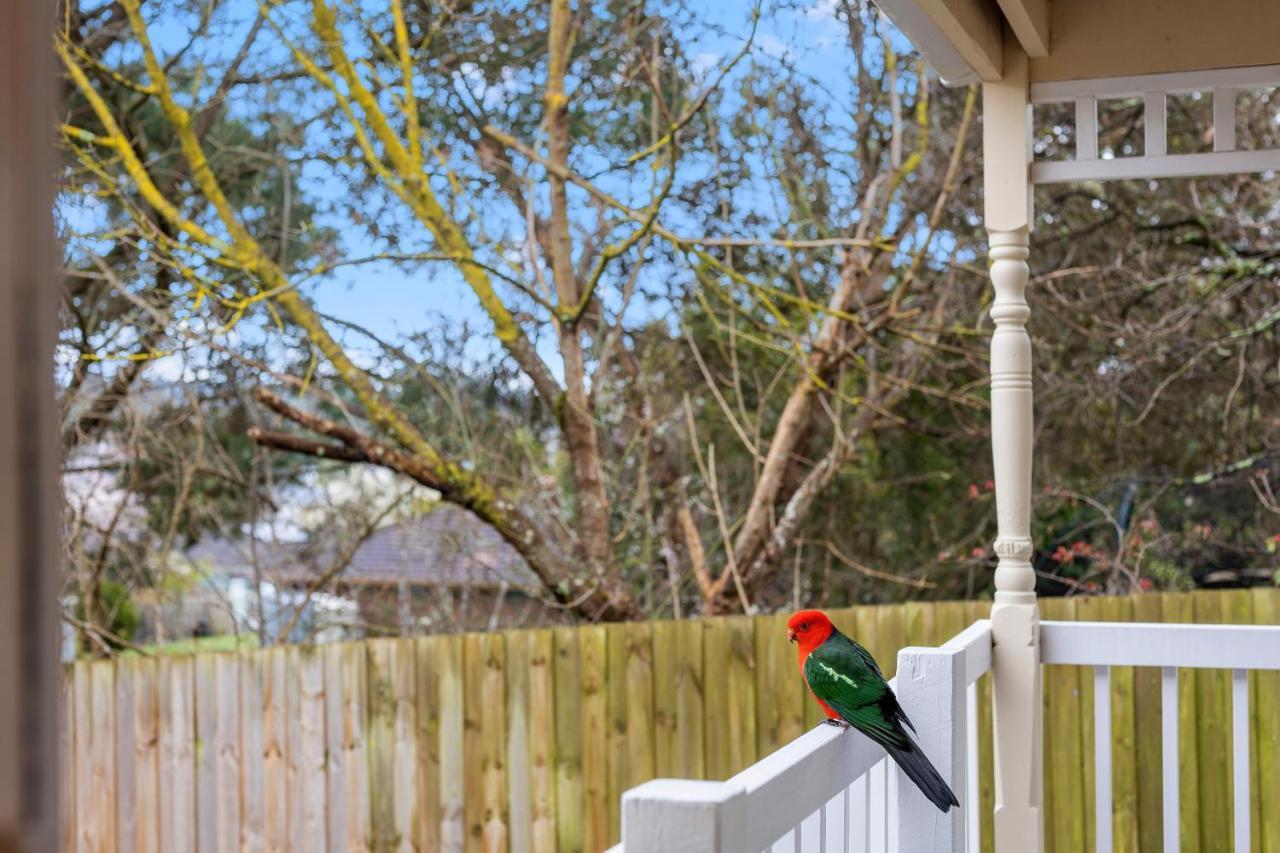 Motel Yarra Gables Healesville Zewnętrze zdjęcie