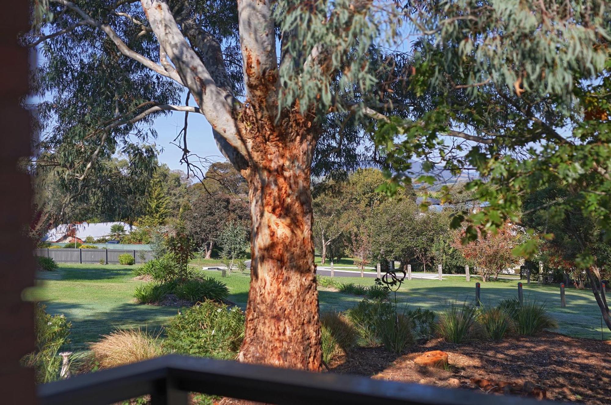 Motel Yarra Gables Healesville Zewnętrze zdjęcie
